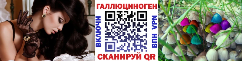 Галлюциногенные грибы прущие грибы  сколько стоит  Шенкурск 